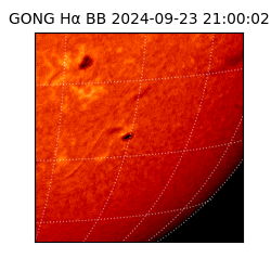 gong - 2024-09-23T21:00:02