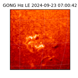 gong - 2024-09-23T07:00:42