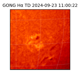 gong - 2024-09-23T11:00:22