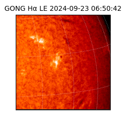 gong - 2024-09-23T06:50:42