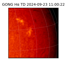 gong - 2024-09-23T11:00:22