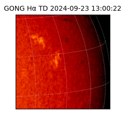 gong - 2024-09-23T13:00:22