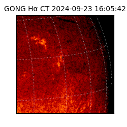 gong - 2024-09-23T16:05:42