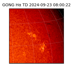 gong - 2024-09-23T08:00:22