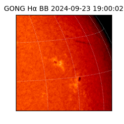 gong - 2024-09-23T19:00:02