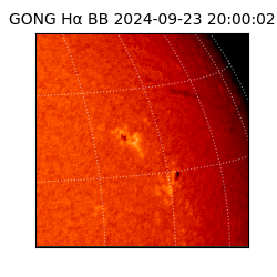 gong - 2024-09-23T20:00:02