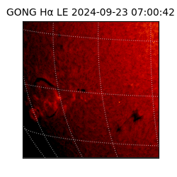 gong - 2024-09-23T07:00:42