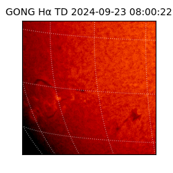 gong - 2024-09-23T08:00:22