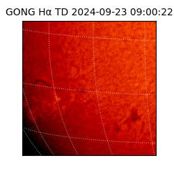 gong - 2024-09-23T09:00:22