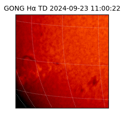 gong - 2024-09-23T11:00:22