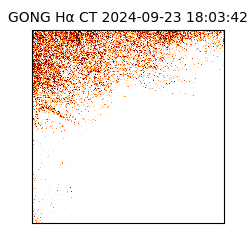 gong - 2024-09-23T18:03:42