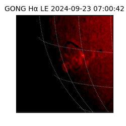 gong - 2024-09-23T07:00:42