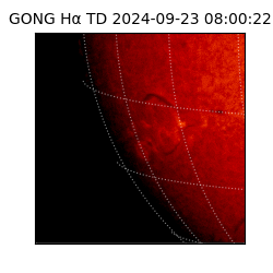 gong - 2024-09-23T08:00:22