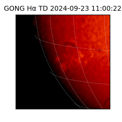 gong - 2024-09-23T11:00:22