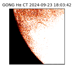 gong - 2024-09-23T18:03:42