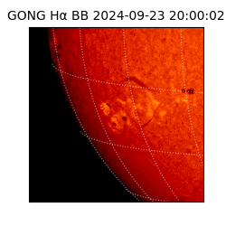 gong - 2024-09-23T20:00:02