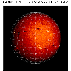 gong - 2024-09-23T06:50:42