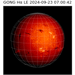 gong - 2024-09-23T07:00:42