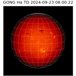 gong - 2024-09-23T08:00:22