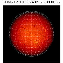 gong - 2024-09-23T09:00:22