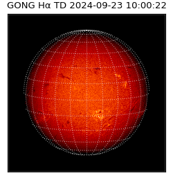 gong - 2024-09-23T10:00:22