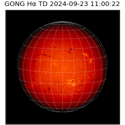 gong - 2024-09-23T11:00:22