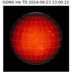 gong - 2024-09-23T13:00:22