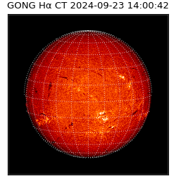 gong - 2024-09-23T14:00:42