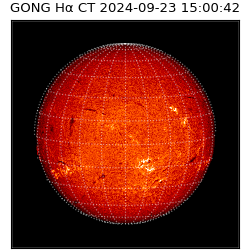 gong - 2024-09-23T15:00:42