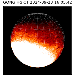gong - 2024-09-23T16:05:42