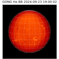 gong - 2024-09-23T19:00:02