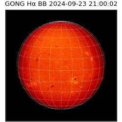 gong - 2024-09-23T21:00:02