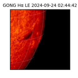 gong - 2024-09-24T02:44:42