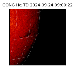 gong - 2024-09-24T09:00:22