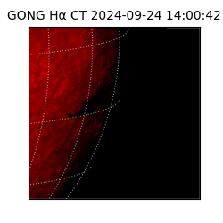 gong - 2024-09-24T14:00:42