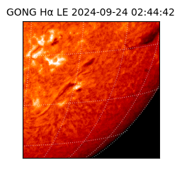 gong - 2024-09-24T02:44:42