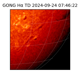 gong - 2024-09-24T07:46:22