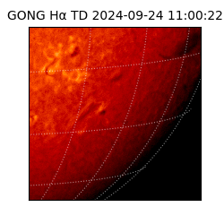 gong - 2024-09-24T11:00:22