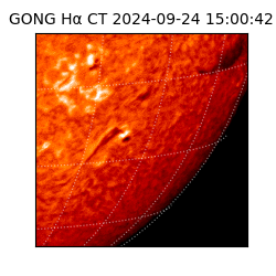 gong - 2024-09-24T15:00:42