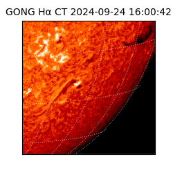 gong - 2024-09-24T16:00:42