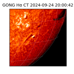 gong - 2024-09-24T20:00:42