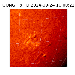 gong - 2024-09-24T10:00:22