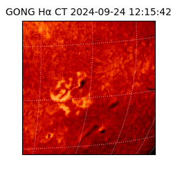 gong - 2024-09-24T12:15:42