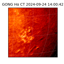 gong - 2024-09-24T14:00:42