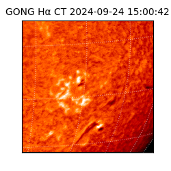 gong - 2024-09-24T15:00:42