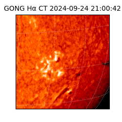 gong - 2024-09-24T21:00:42