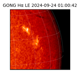 gong - 2024-09-24T01:00:42