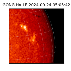 gong - 2024-09-24T05:05:42