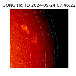 gong - 2024-09-24T07:46:22