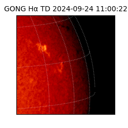 gong - 2024-09-24T11:00:22